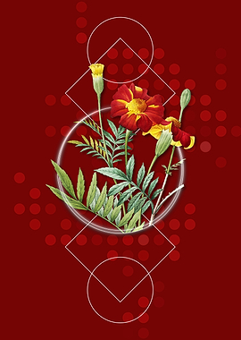 Vintage Mexican Marigold