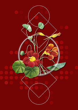 Vintage Monks Cress Flower