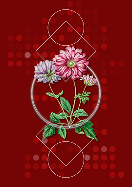 Vintage Hyacinth Flower