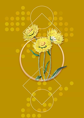 Geometric Helichrysum