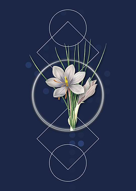 Vintage Autumn Crocus