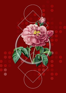 Vintage Gallic Rose Flower