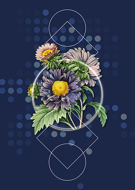 Vintage China Aster Flower