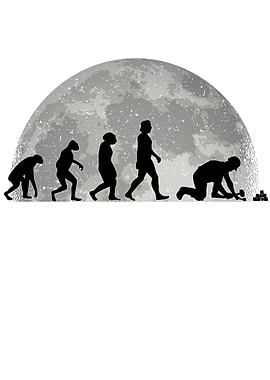 Paver Evolution Moon Stone