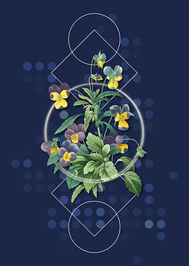 Vintage Johnny Jump Up