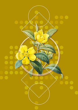 Vintage Golden Guinea Vine