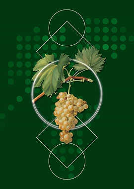 Geometric Grape Vine Fruit