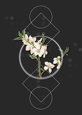 Geometric Almond Flower