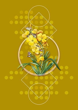 Vintage Cheiranthus Flower