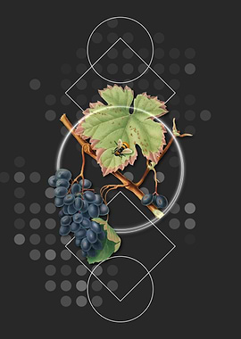 Geometric Grape Fruit