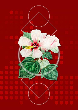 Geometric Marsh Hibiscus