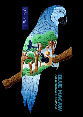 The Last Blue Macaw Black