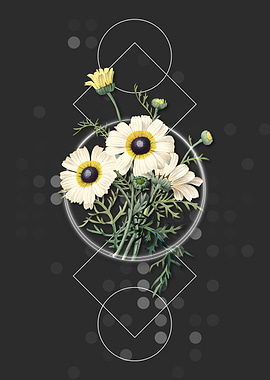 Vintage Chrysanthemum