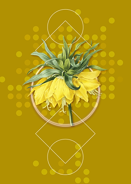 Vintage Kaisers Crown