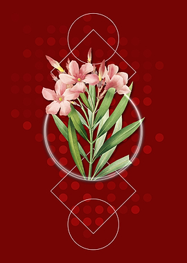 Vintage Oleander Flowers