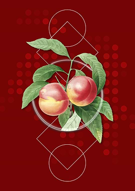 Vintage Peach Fruit Poster