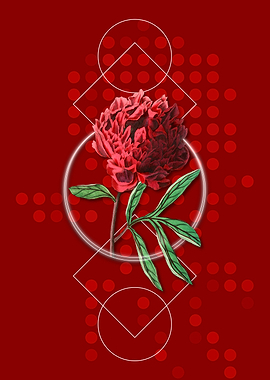 Geometric Chinese Peony