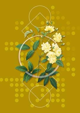 Vintage Lady Banks Rose