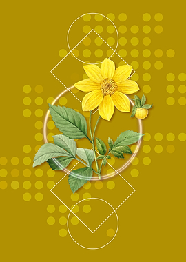 Vintage Dahlia Simplex