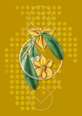 Geometric Custard Apple