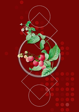 Vintage Red Berries Fruits