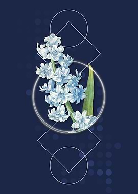 Vintage Oriental Hyacinth