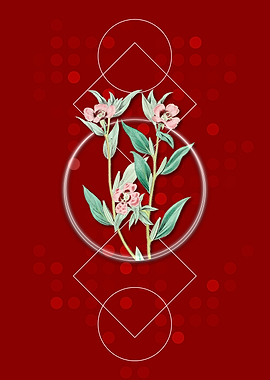 Geometric Enothera Flower