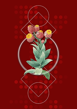 Geometric Vintage Cudweeds