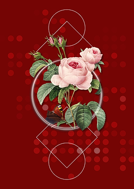 Vintage Provence Rose