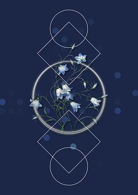 Campanule Clochette Flower