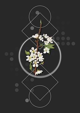 Geometric Musky Pear Fruit