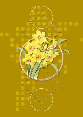 Chinese Sacred Lily Flower