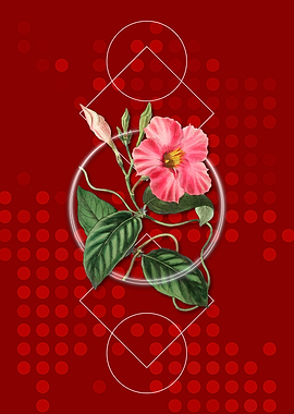 Geometric Dipladenia Flora