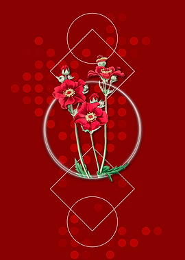 Geometric Chilian Guem