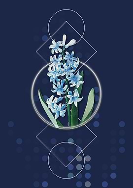 Vintage Dutch Hyacinth