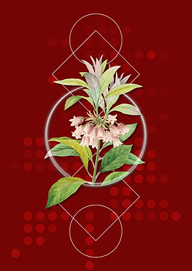 Chinese New Year Flower