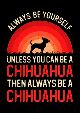 Funny Chihuahua