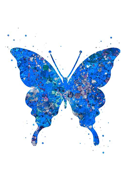 Butterfly blue