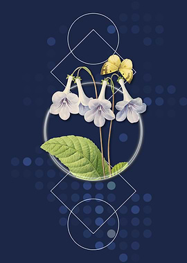 Vintage Canterbury Bells