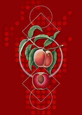 Geometric Carrot Peach