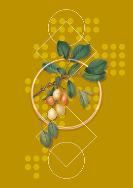 Geometric Cherry Fruit