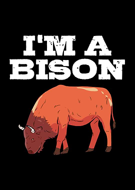 American Bison
