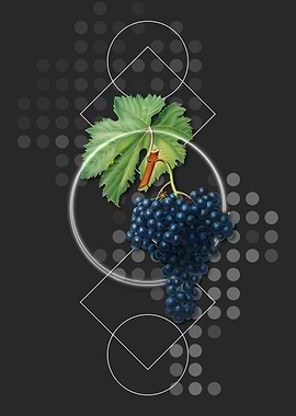 Geometric Fuella Grapes