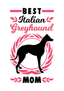 Best Italian Greyhound Mom