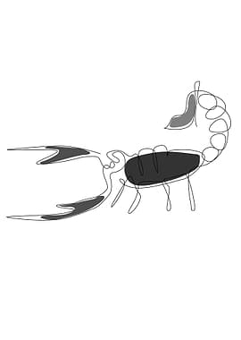 One line art scorpion