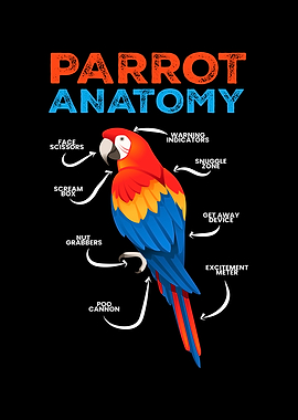 Parrot Anatomy