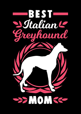 Best Italian Greyhound Mom