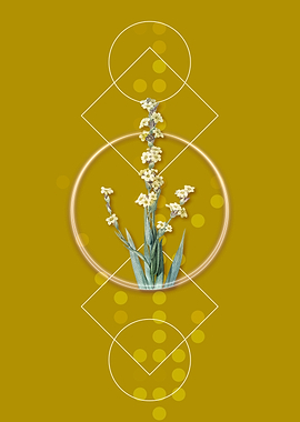 Pale Yellow Eyed Grass