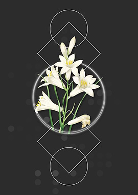 Vintage St Brunos Lily