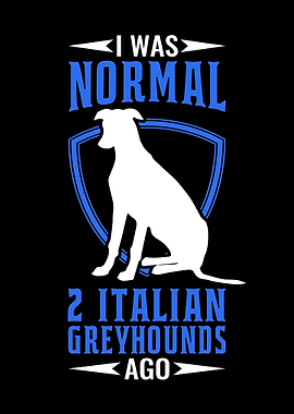 I Was Normal Italian